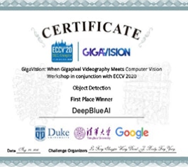 图( 内 放大 变暗)